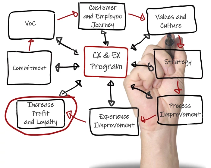 WitAdvisor, Wit Advisor Customer Experience, Experiencia del Cliente